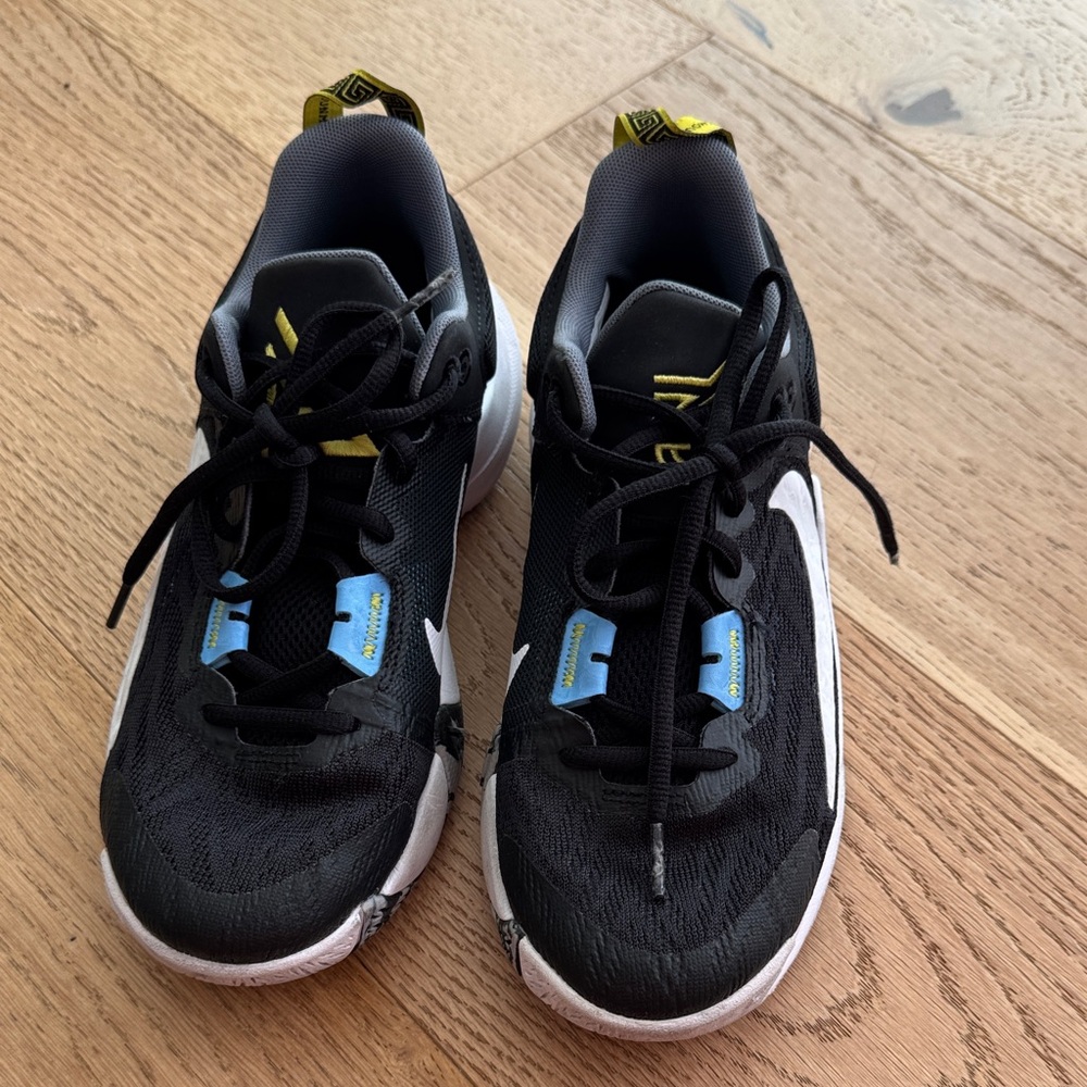 Nike GIANNIS IMMORTALITY 2 BASKETBALL SHOES